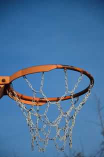 爱游戏入口-NBA球队球员培养规划设计，nba对球员的要求是什么