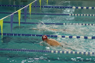 爱游戏体育娱乐-全国青少年游泳锦标赛青春风采尽展，全国青少年游泳比赛成绩