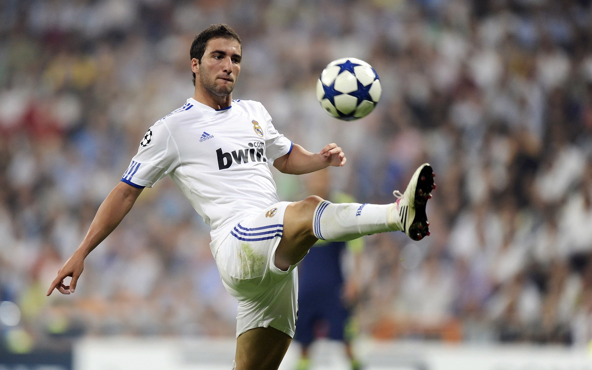 世界杯中国足球爆冷 球迷情绪波动明显，中国足球世界杯表现